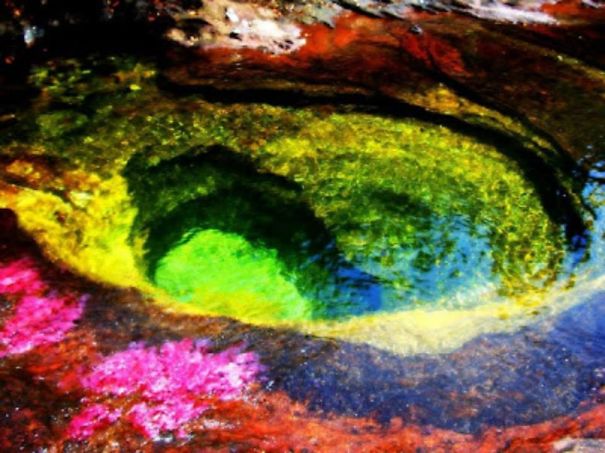 Caño Cristales El Río De 7 Colores
