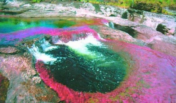 Caño Cristales El Río De 7 Colores