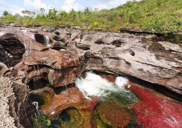 Caño Cristales El Río De 7 Colores