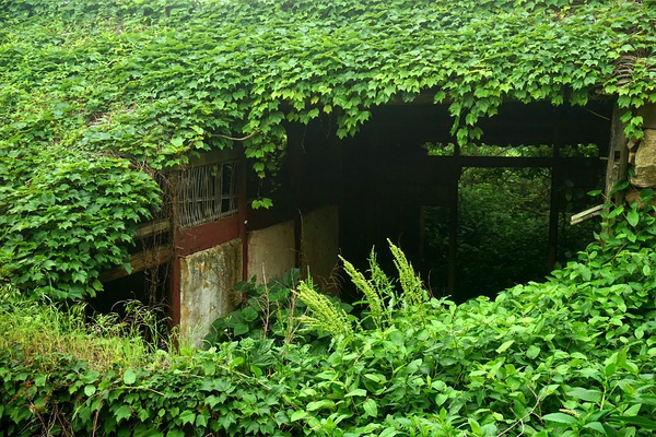 aldea-abandonada-naturaleza-china (1)