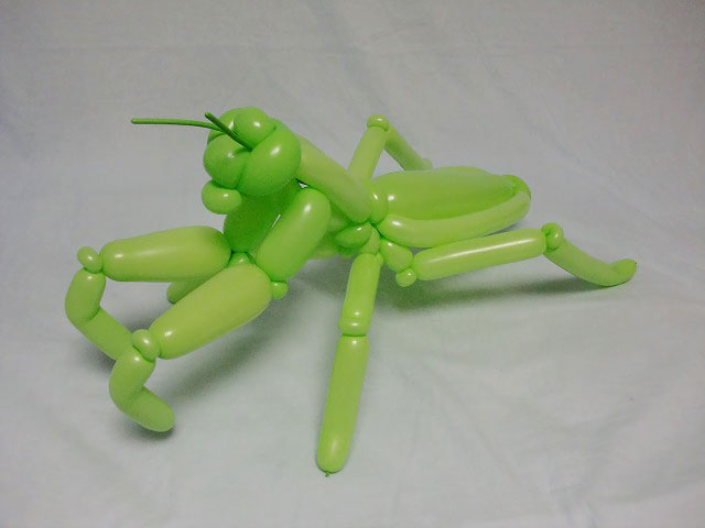 animales-realistas-globos-masayoshi-matsumoto-japon (13)