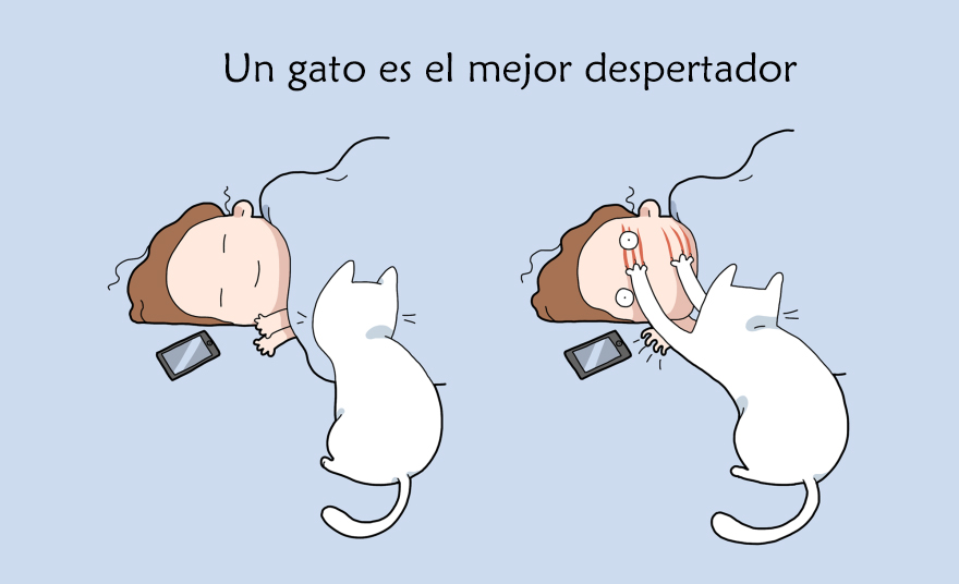 beneficios-tener-gato