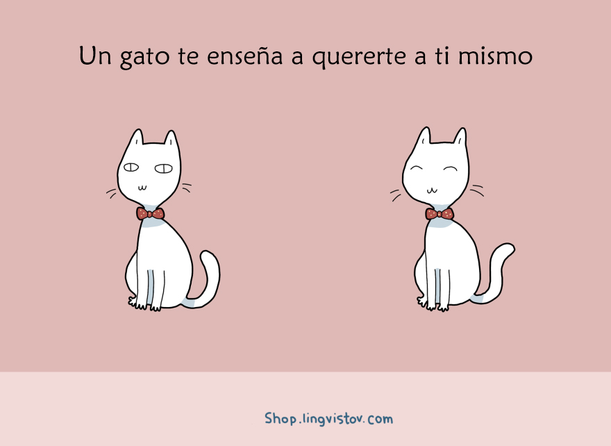beneficios-tener-gato11
