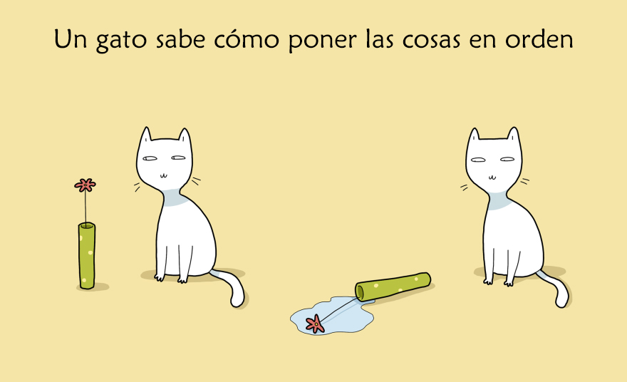 beneficios-tener-gato3