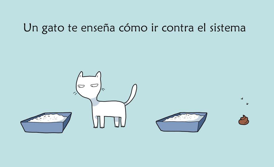 beneficios-tener-gato4