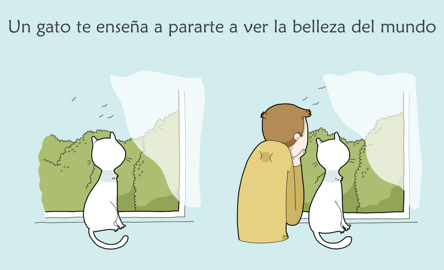 beneficios-tener-gato5