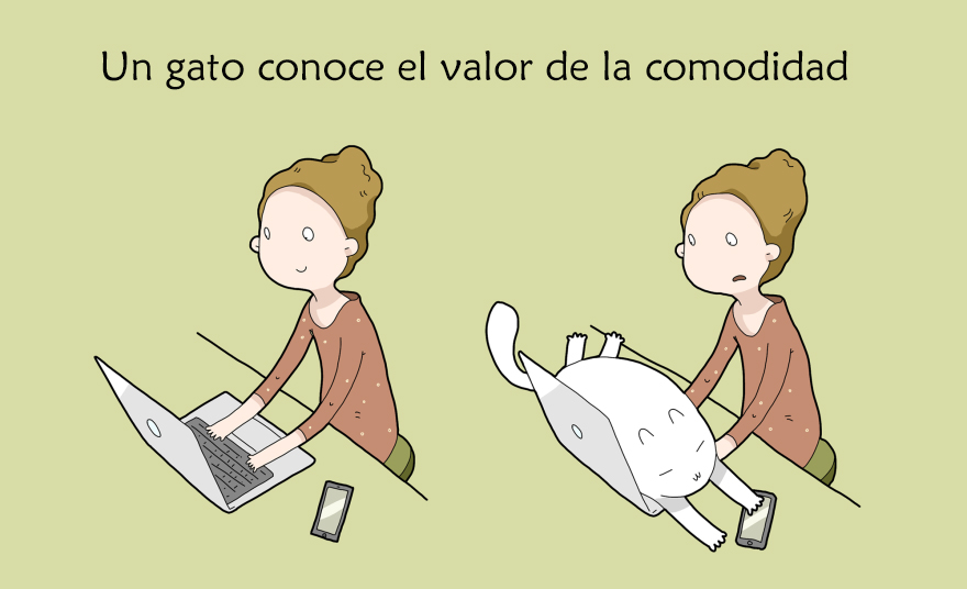 beneficios-tener-gato6