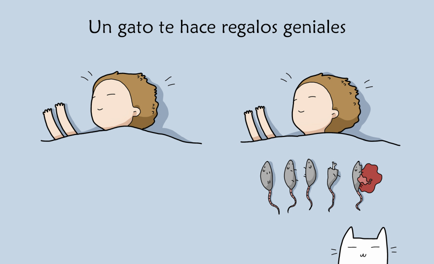 beneficios-tener-gato8