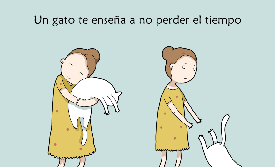 beneficios-tener-gato9