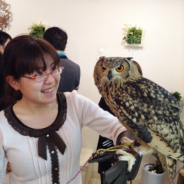 cafeteria-buhos-ikefukuroucafe-tokyo (14)