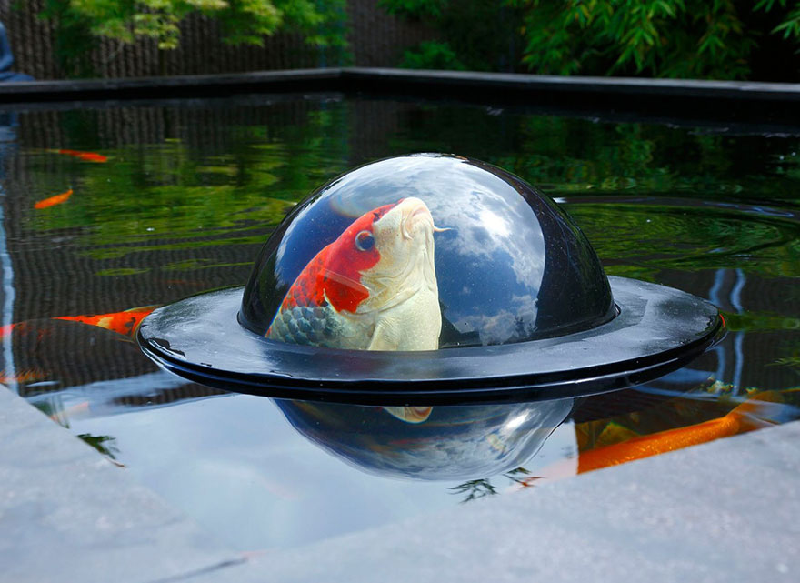 cupula-flotante-peces-koi-velda (4)