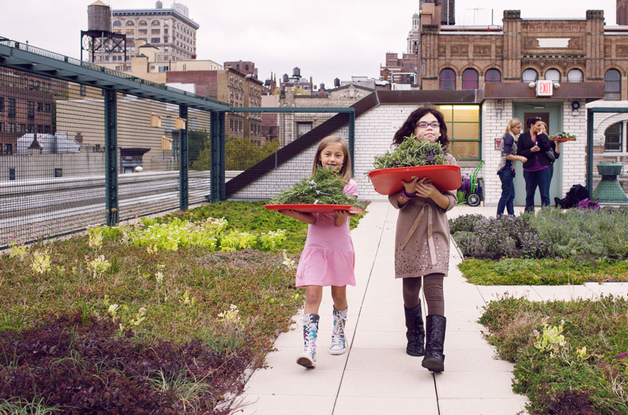 escuelas-publicas-nueva-york-paneles-solares (1)