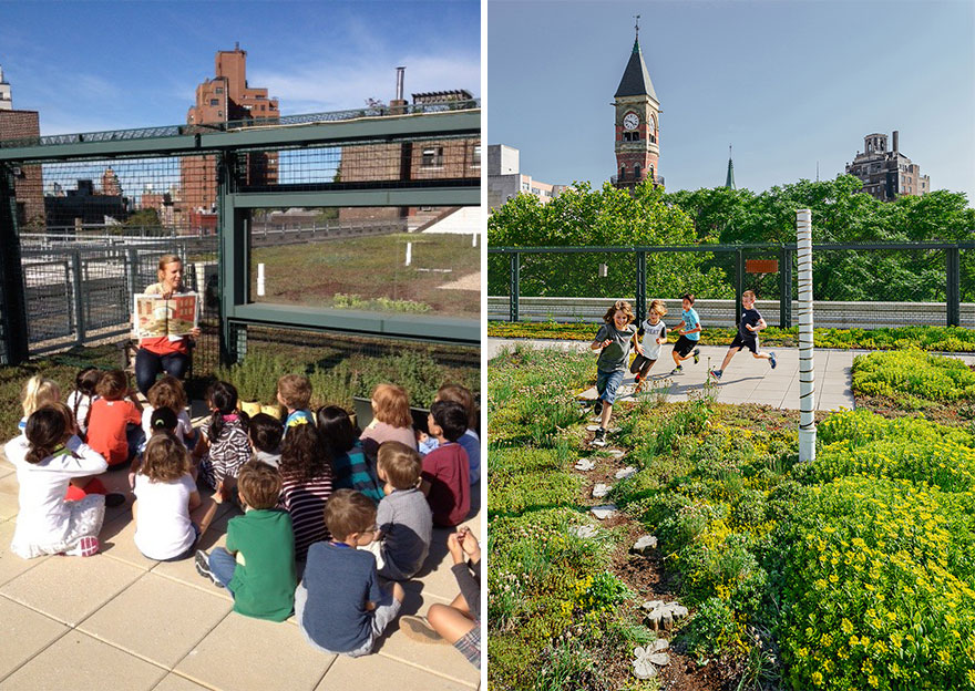 escuelas-publicas-nueva-york-paneles-solares (10)
