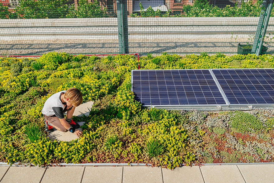 escuelas-publicas-nueva-york-paneles-solares (11)