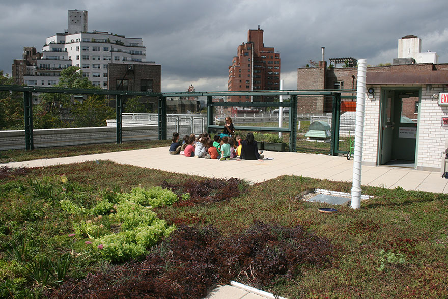 escuelas-publicas-nueva-york-paneles-solares (2)