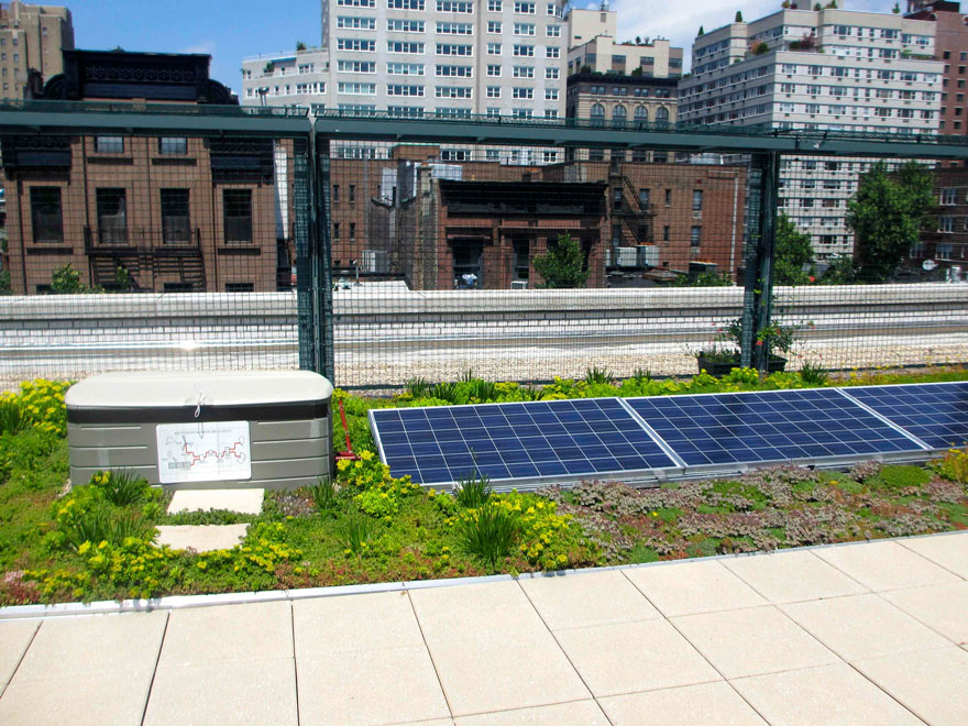 escuelas-publicas-nueva-york-paneles-solares (4)