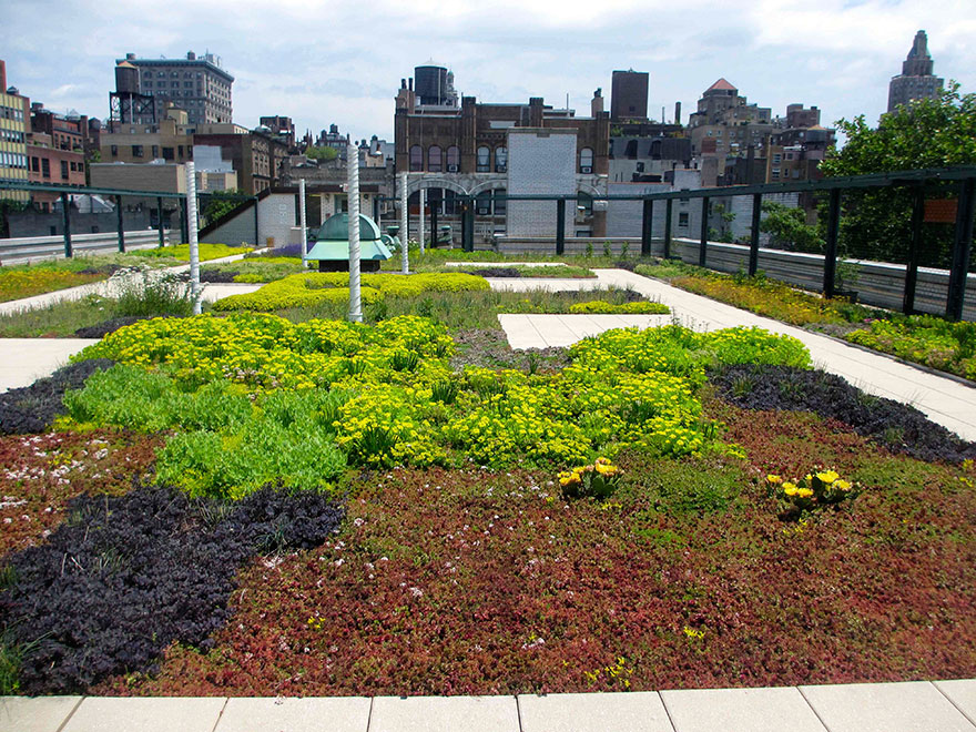 escuelas-publicas-nueva-york-paneles-solares (6)