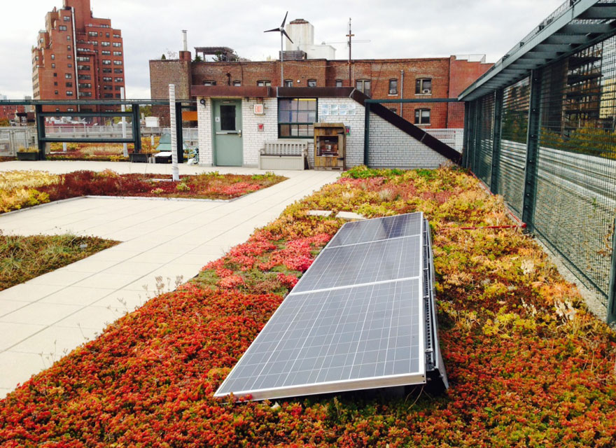 escuelas-publicas-nueva-york-paneles-solares (7)