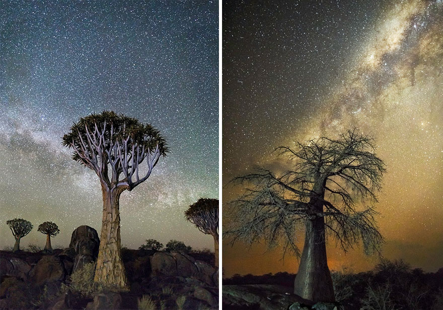 fotos-arboles-viejos-noche-estrellas-beth-moon (2)