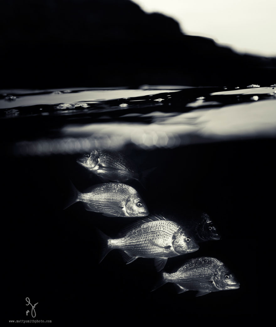 fotos-mitad-bajo-superficie-agua-Matty-Smith (13)