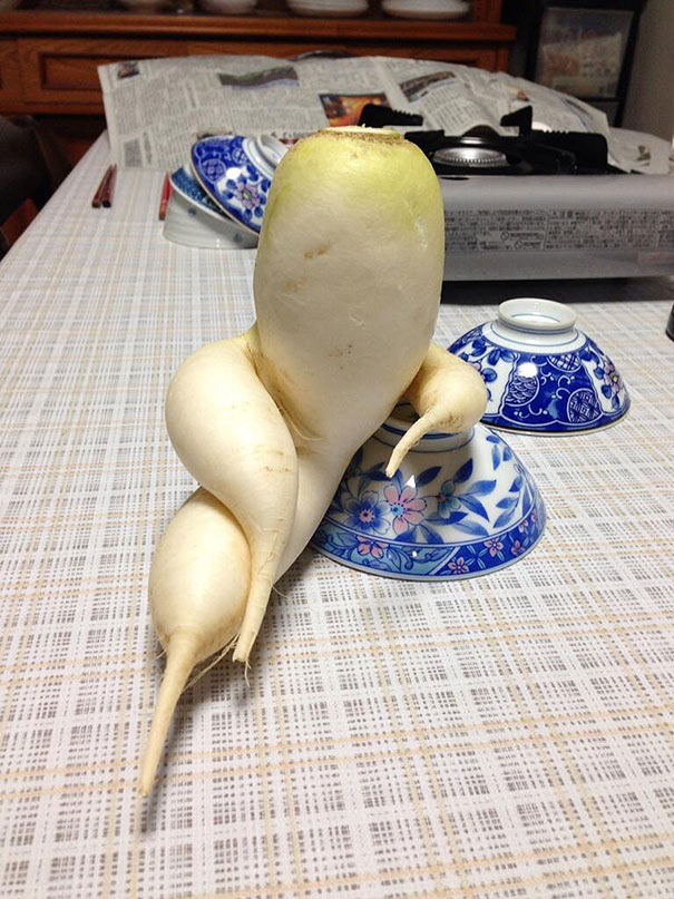 frutas-verduras-de-formas-raras (16)