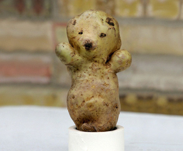 frutas-verduras-de-formas-raras (18)