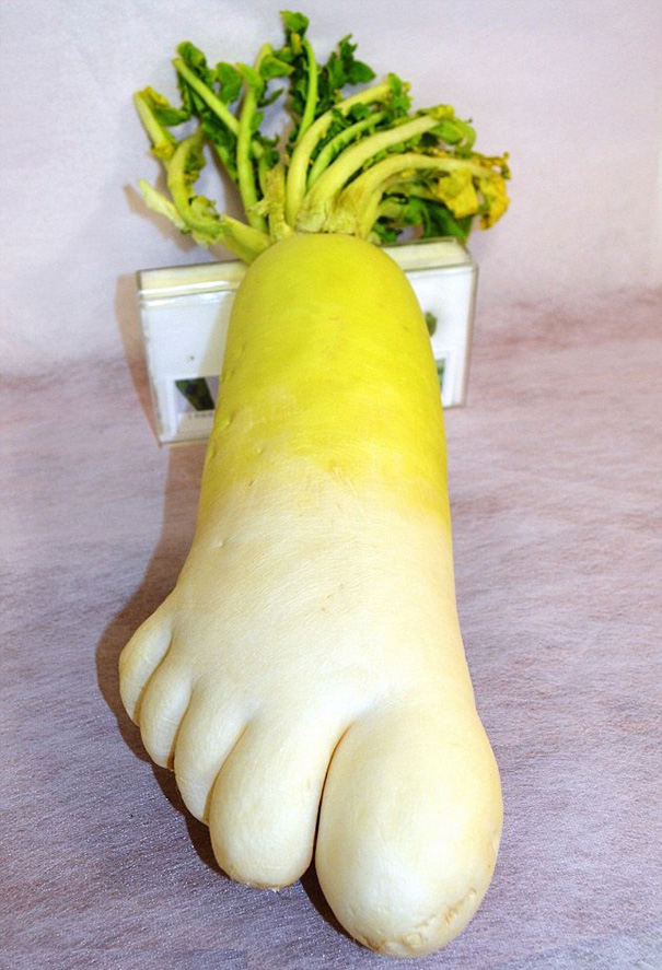 frutas-verduras-de-formas-raras (7)