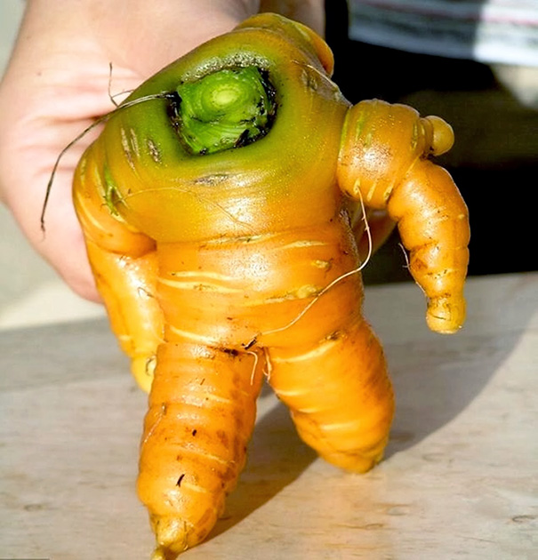 frutas-verduras-de-formas-raras (8)