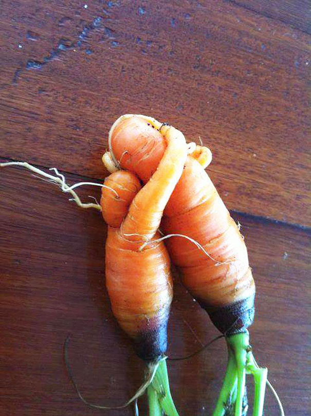 frutas-verduras-de-formas-raras (9)