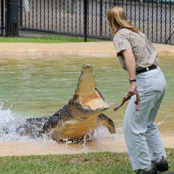 hija-bindi-steve-irwin-16-anos-legado-padre-australia-zoo (18)