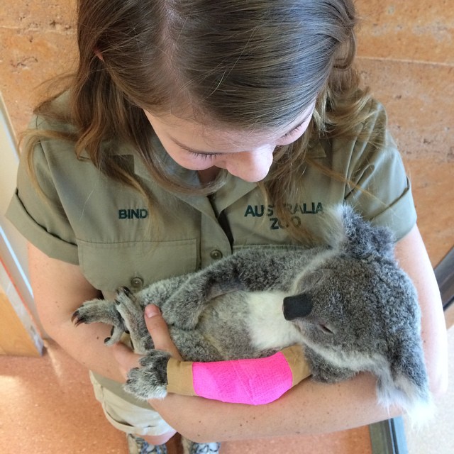 hija-bindi-steve-irwin-16-anos-legado-padre-australia-zoo (7)