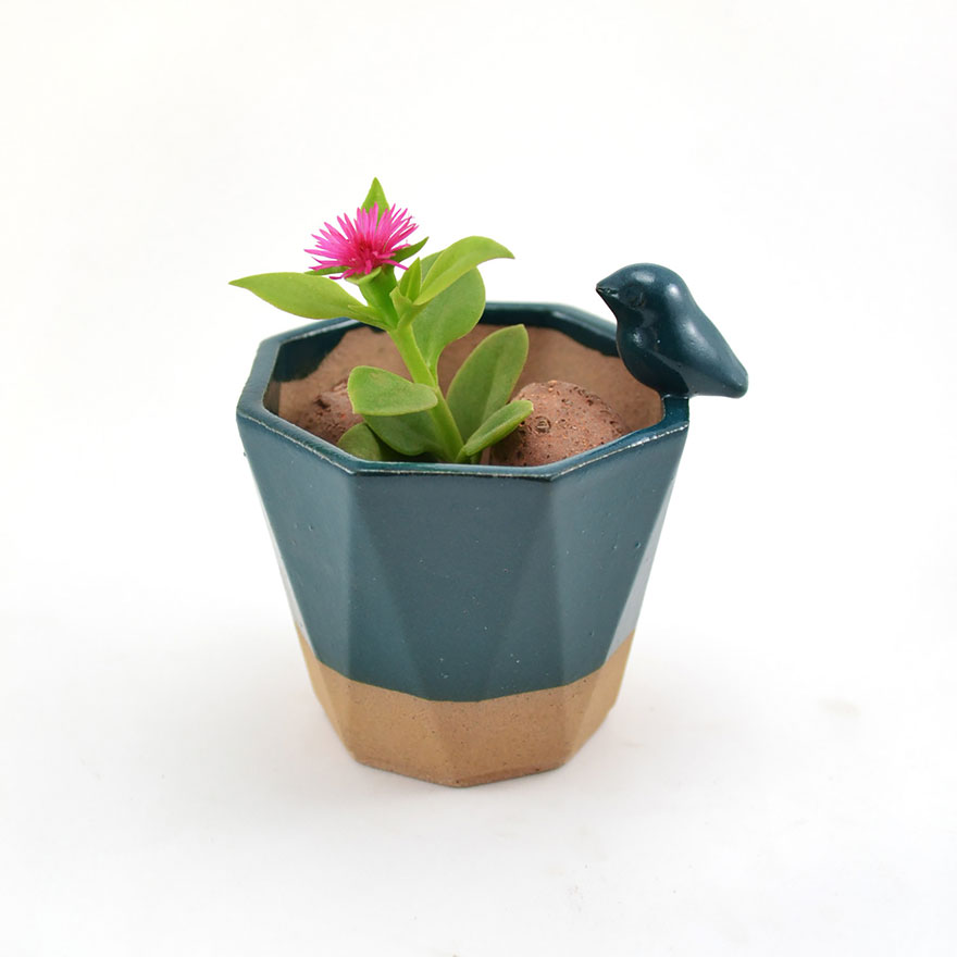 macetas-animales-ceramica-plantas-suculentas-priscilla-ramos (10)