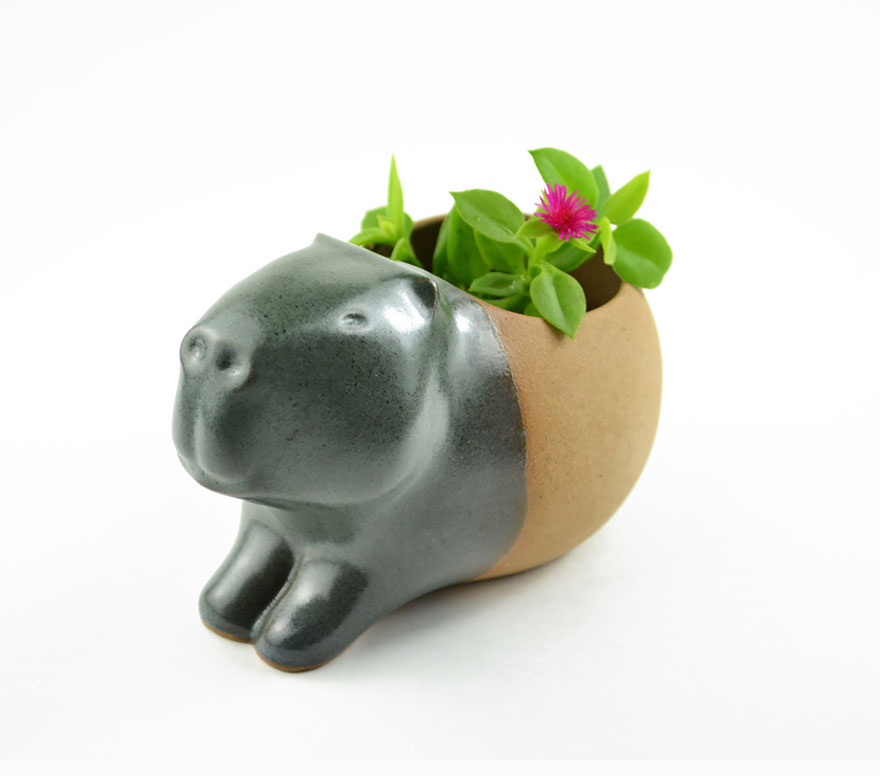 macetas-animales-ceramica-plantas-suculentas-priscilla-ramos (2)