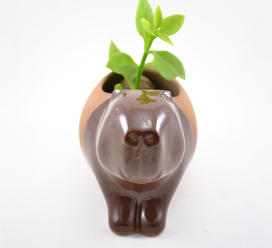 macetas-animales-ceramica-plantas-suculentas-priscilla-ramos (4)