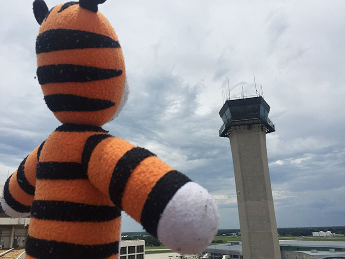 peluche-tigre-hobbes-perdido-aeropuerto-tampa (2)