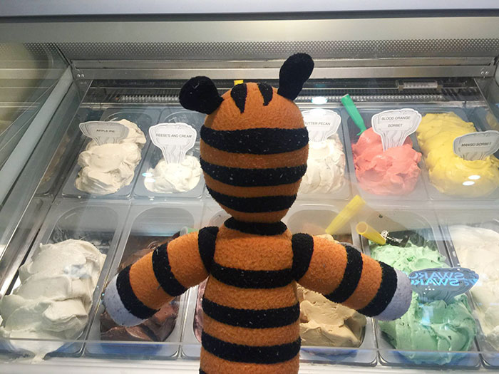 peluche-tigre-hobbes-perdido-aeropuerto-tampa (3)