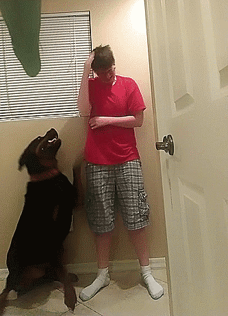 perro-crisis-sindrome-asperger-danielle-jacobs (1)