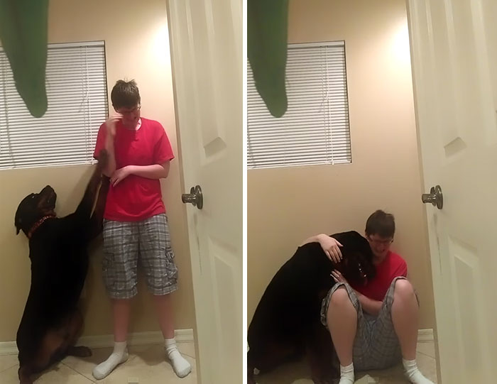 perro-crisis-sindrome-asperger-danielle-jacobs (1)