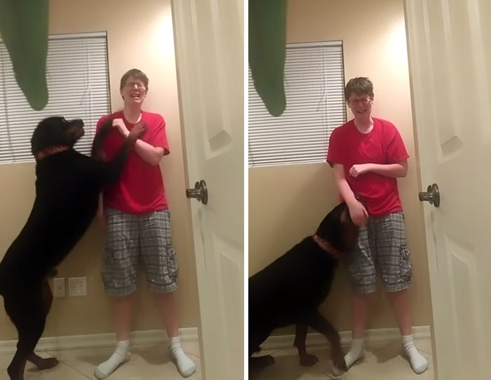 perro-crisis-sindrome-asperger-danielle-jacobs (2)