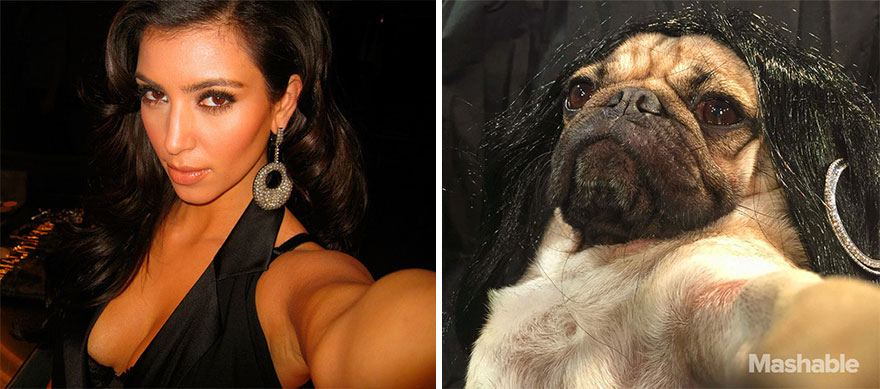 perro-doug-pug-recrea-kardashian-selfies (3)