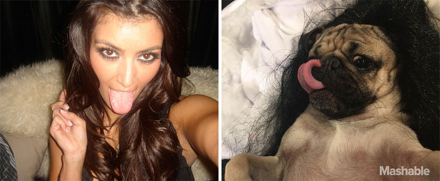 perro-doug-pug-recrea-kardashian-selfies (4)
