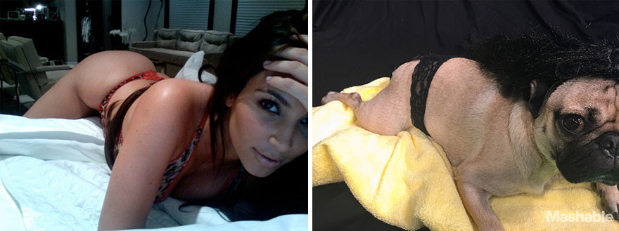 perro-doug-pug-recrea-kardashian-selfies (5)