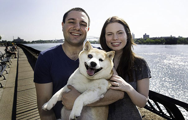 perro-shiba-enfermo-sonrisa-cinnamon (4)