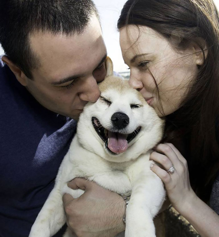 Este es Cinnamon, un perro feliz que nunca deja de sonreír a pesar de sus enfermedades