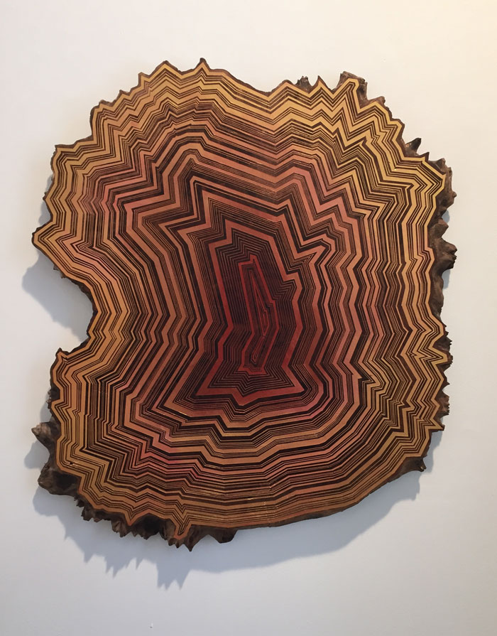 pintura-hipnotica-pedazos-madera-jason-middlebrook (10)