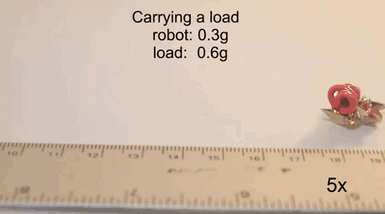 robot-miniatura-origami-mit (3)