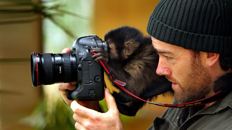 animales-camara-ayudando-fotografos (15)