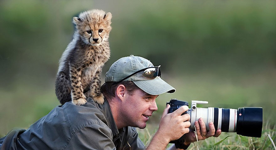 animales-camara-ayudando-fotografos (17)