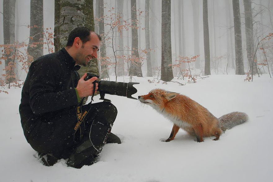 animales-camara-ayudando-fotografos (26)