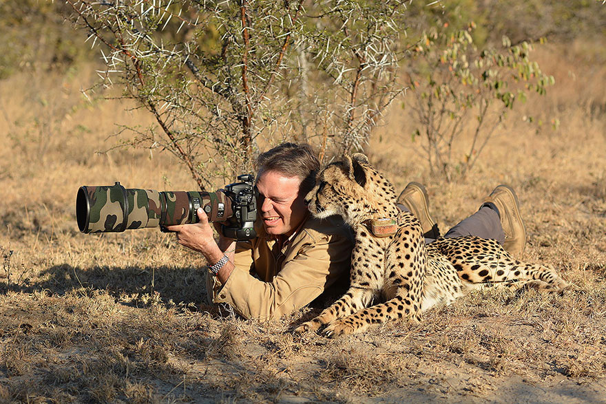 animales-camara-ayudando-fotografos (27)